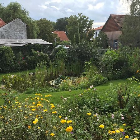 Schoene Gemuetliche Ferienwohnung Mit Kamin I Im Harz Darlingerode Екстер'єр фото