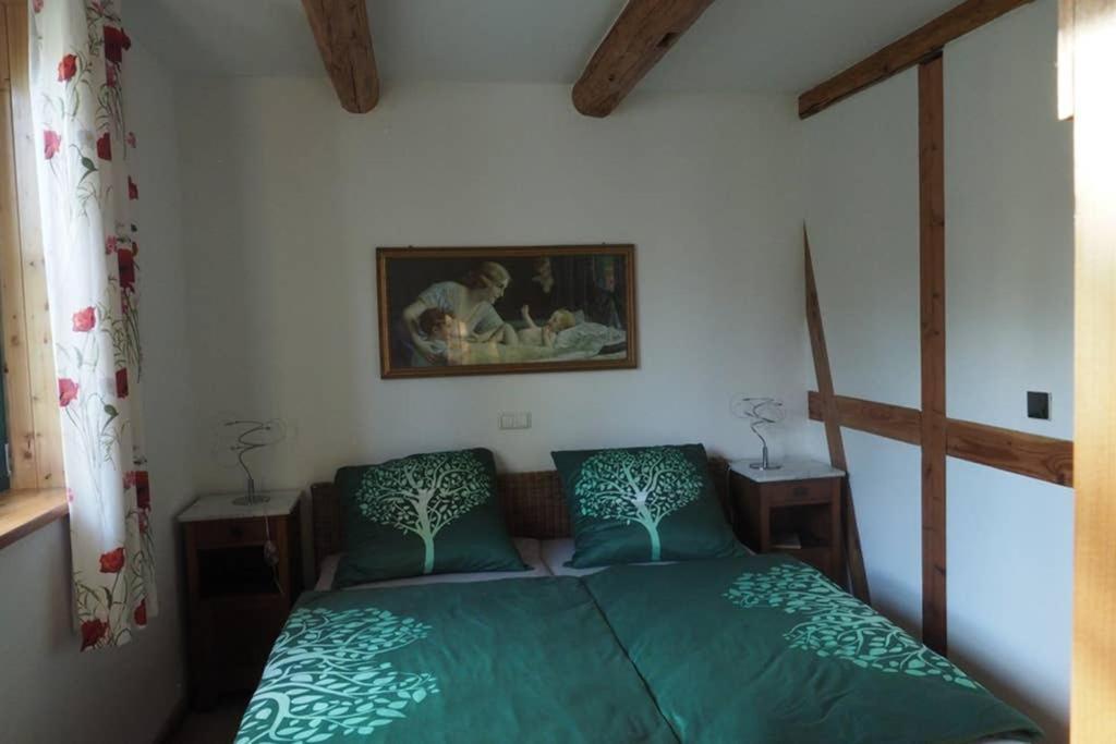 Schoene Gemuetliche Ferienwohnung Mit Kamin I Im Harz Darlingerode Екстер'єр фото